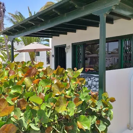 Dalai - Pool View- Good Wifi Apartment